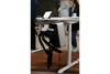 ACTIFORCE - ActiCase Parachute Large aus von Actiforce | Tischwelt24.de